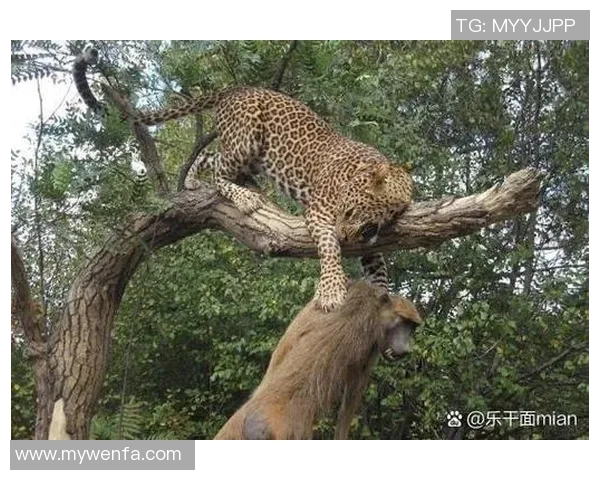 足球场上的动物奇才：用动物拟人化展现球星的独特风采